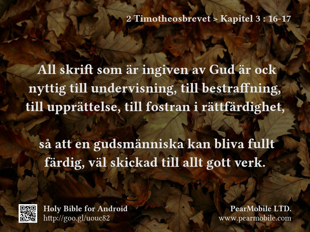 2 Timotheosbrevet, Kapitel 3:16-17